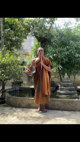NAM MÔ A DI ĐÀ PHẬT  con xin chào tất cả mọi người con là người nhà của sư nhỏ Tuệ Minh cũng là e trai ruột của Sư. Lời đầu tiên con xin thay mặt người nhà cảm ơn tất cả các quý Phật tử trong nước và ngoài nước đã yêu quý quan tâm tới Sư Tuệ Minh . Vừa qua gia đình con cũng có chuyện buồn là mẹ của con mất nhận được tin buồn gd biết có rất nhiều Phật tử đã gửi lời hỏi thăm cũng như đến tài nhà thắp hương cho mẹ của sư . Nhưng hôm nay có 4 anh YouTube tới nhà thắp hương cho mẹ của con và con cũng được biết là có rất nhiều Phật tử đã gửi tiền cho họ . Con xin chân thành cảm ơn cô quý Phật tử đã thành tâm thắp hương cho mẹ con nhưng mong Phật Tử ai hửu duyên quan tâm thì tới nhà thắp cho mẹ con nén hương thơm là được rồi còn mong quý Phật tử không gửi tiền cho các anh YouTube người nhà của con ko biết và không nhận tiền đâu ạ . Sư giờ cũng tĩnh tâm tu tập rồi  . Rất mong quý Phật tử yêu quý sư và Mẹ nếu hữu duyên tới nhà thăm hỏi và thắp nén hương thơm là tốt đẹp rồi ạ . Con xin cảm ơn mọi người. 