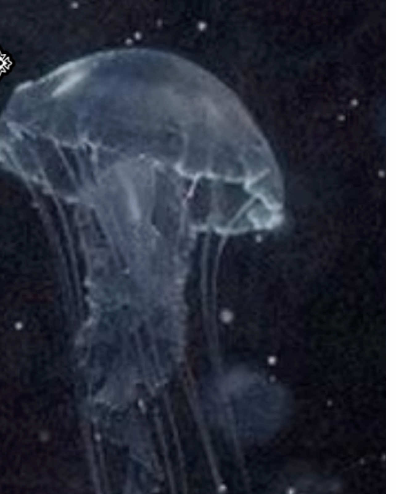 #fyp #explore #قران_كريم #العراق #بغداد 