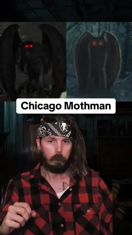 Chicago Mothman #appalachia #appalachianmountains #appalachiantrail #appalachian #rulesofsurvival #scarystories #ghoststory #creepystorytime #spookystory #scarystories #chicago #chicagotiktok #usa #chicagomothman #mothman #cryptid #sighting 
