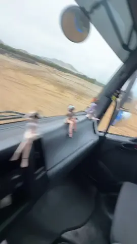 Les presento a mis nenas que me acompañan en la ruta 🚛#camioneros #acompañado #misnenas #preciosaschulasguapas😍😍 #trokeros #trabajandoduro #camioneroperuano🚛🇵🇪 #fyp 