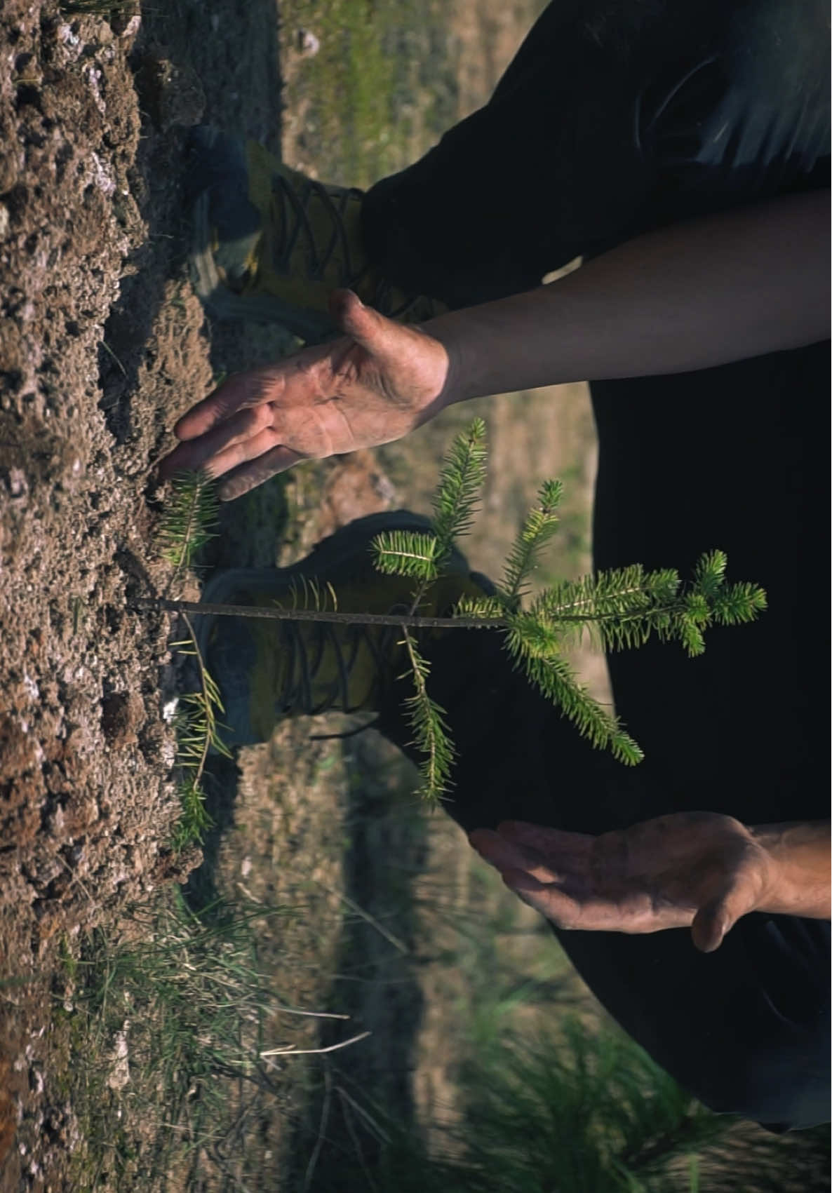 Plantación 2025, como cada año, se cumplió con la cuota!! #plantacion #plantacionforestal #plantacioncomercial #reforestacion #arboles #pseutotsuga #produccionaudiovisual #productoraudiovisual #filmmaker #cinematicvideo 