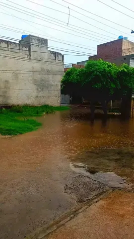 #faisalabad #weather #barish #enjoy #foryou 