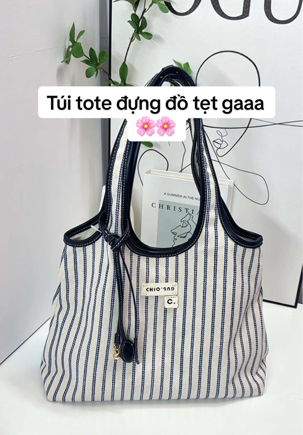 Nhẹ nhàng tinh tế , đựng đồ tẹt ga 🌸 #2t.store #túi #chio #xuhuongtiktok #viral 