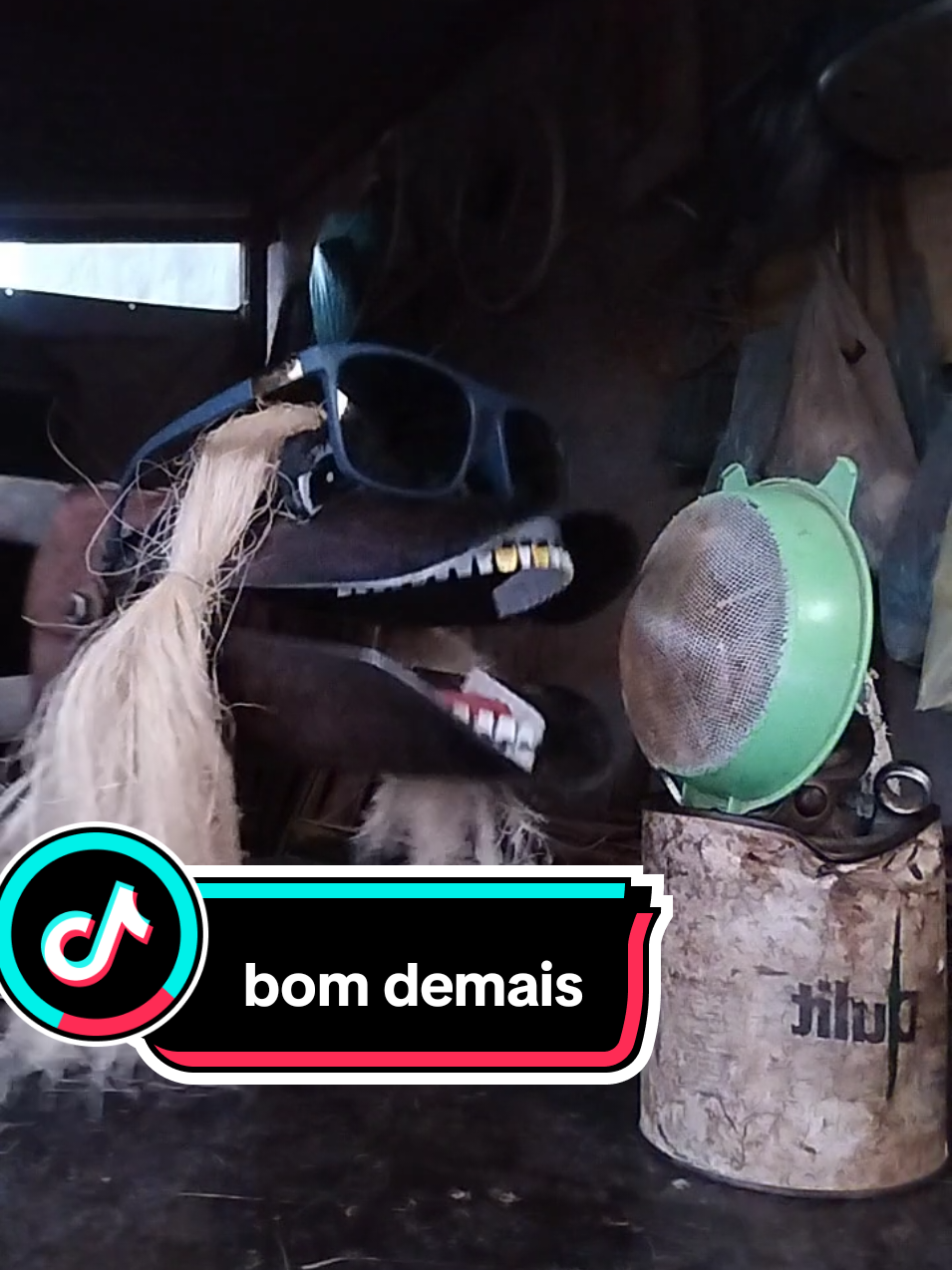 A responder a @bruhdapoesia cavaleiro cantora #cavadeira #ferramenta #dublagem 