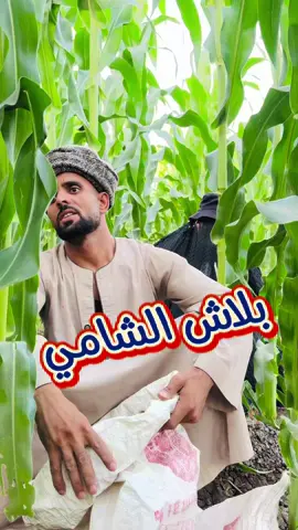 بلاش الشامي 😂 #الحاج_ريعو 