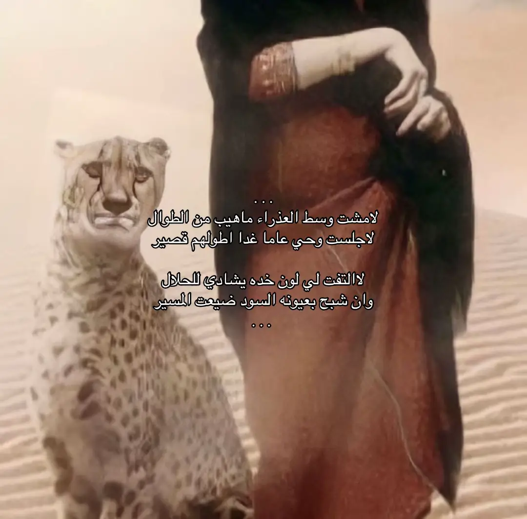 #explore  , #4u  , #قصيد 