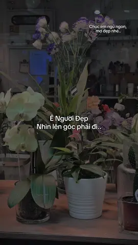 “Vậy haa🥰” #suyymottchut #viral #fyp 
