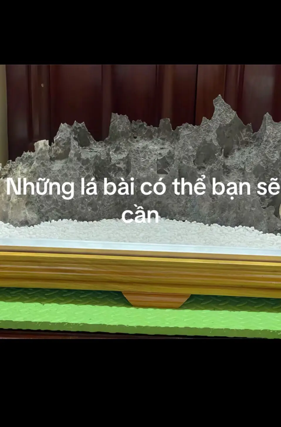 10 tim đăng tiếp🤫🤫🤫 #xh #meme 