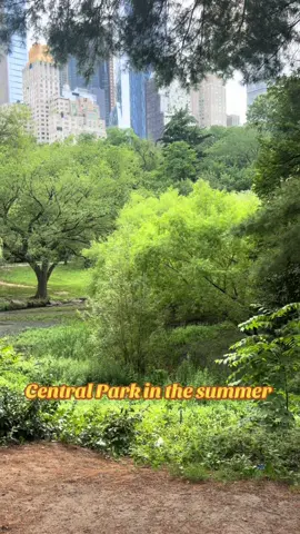 #newyork #Summer 