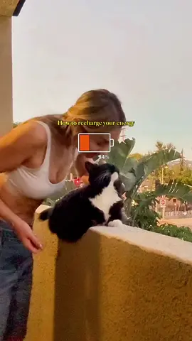 Sometimes, a quiet night in with my girls is all I need. Grooming my cats isn’t just self-care for them — it’s how I show them they’re loved, seen, and cherished. It’s my way of returning the unconditional love they give so freely. What fills your cup and recharges your energy? #pets #animals #catmom #imamom #catsoftiktok #kittycat #groomingsession #bonding 