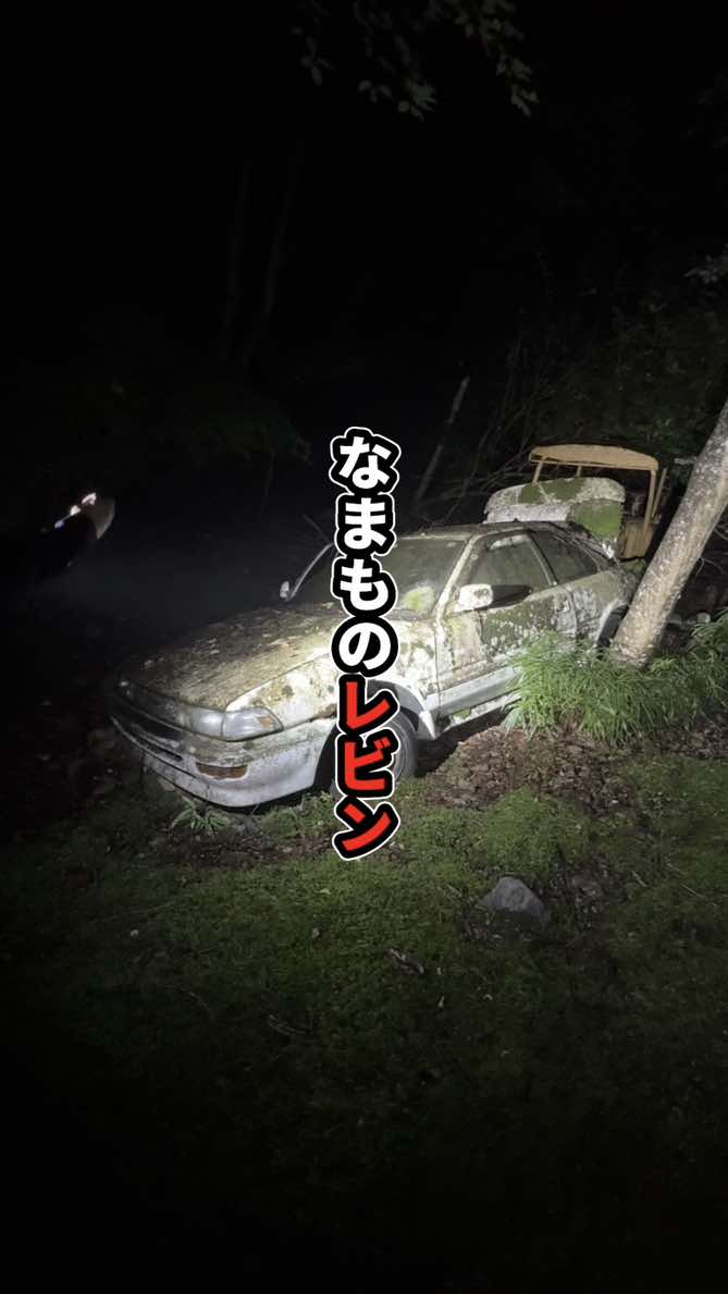 なまものレビン #配信 #心霊 #もあ様 #なまにく 