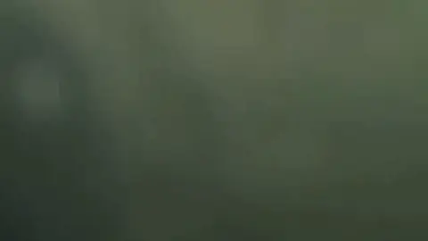 #เถียนเจียรุ่ย #tianjiarui田嘉瑞 