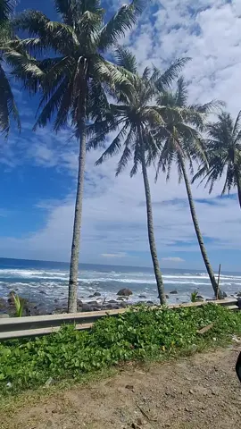 Alam dengan segala keindahannya 🤍 #pesisirbarat #kruipesisirbaratlampung #bengkunatpesisirbarat #pantaimandirikrui #tanjungsetiabeach🏖 