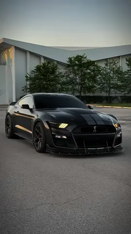 Mustang GT 🤤🍿#car #carlover #foryoupage #mustang #sportscar #vairal #fyp 
