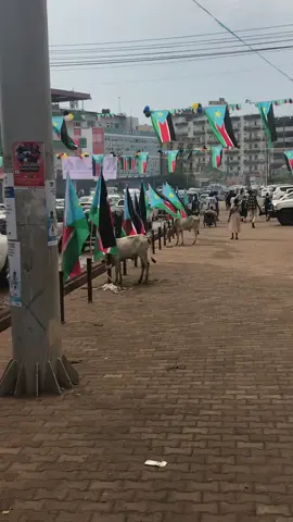 South Sudan happy birthday to you in advance my lovely country 🇸🇸🇸🇸🇸🇸