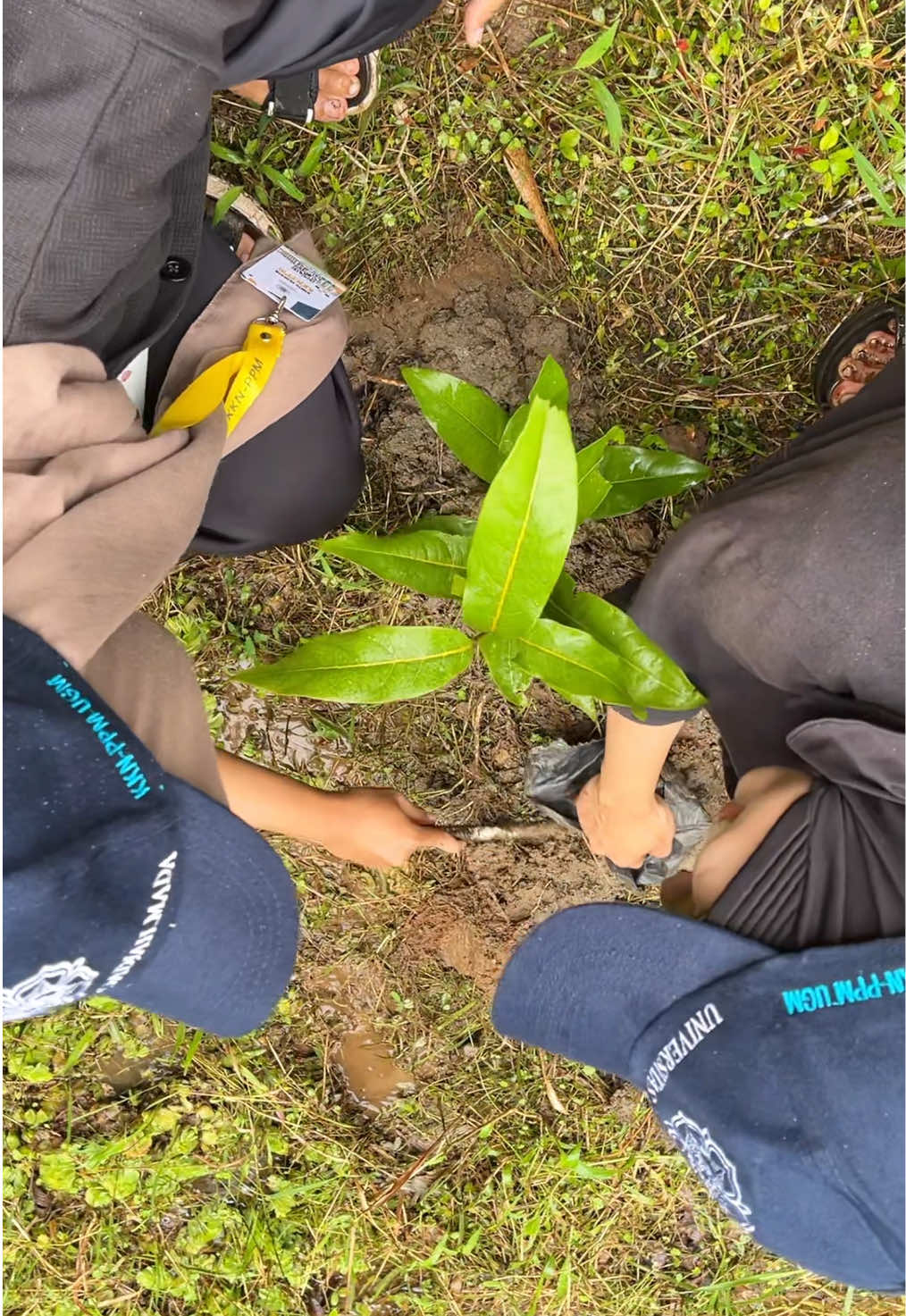 Penanaman 250 Pohon untuk Rehabilitasi Sumber Air dan Penghijauan 🍃✨ 📍Dusun Gertengah Lor, Desa Jati, Magelang #kknsawangan2025 #kknugm #fyp #foryou #ugm #magelang #sawangan #kontenkkn #idekontenkkn #contohkonten 