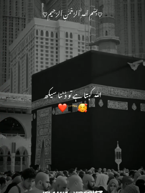 Allah khata ha tu datna sikh♥️#fyp# islamicvibes453#viral #islamicstatus #foryoupage #beautyofislam #muslim #Allah #islaminformation #grow