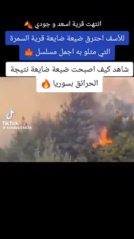 #مسلسل_ضيعة_ضايعة_اسعد_جودة  #قرية_السمرا #اللاذقية #حرائق #غابات 