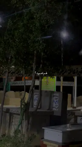 هَم تعود !💔