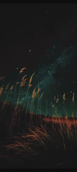 #өмірдіқайтабастасам_шалынғанжерді_баспасем🙏#мағыналысөздер #асхатамангелдi 