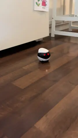 @Enabot check out this little robot; my husband’s at work and he can go on the app and drive around and talk to us and he can see us! #robot #ebobot #fyp 