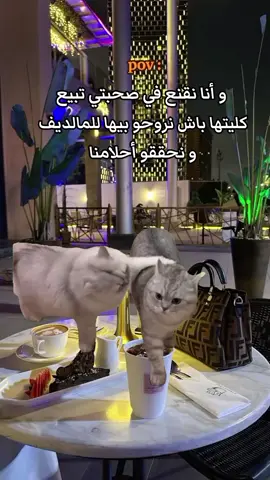 #Meme #MemeCut أنت ليش خايفة 😂#CapCut  #الشعب_الصيني_ماله_حل😂😂 #المغرب🇲🇦تونس🇹🇳الجزائر🇩🇿 #الجزائر🇩🇿 #الجزائر #مصر🇪🇬 #fyppppppppppppppppppppppp #tik_tok #سوريا_تركيا_العراق_السعودية_الكويت #explore #exp #fyp #f #fypdong 
