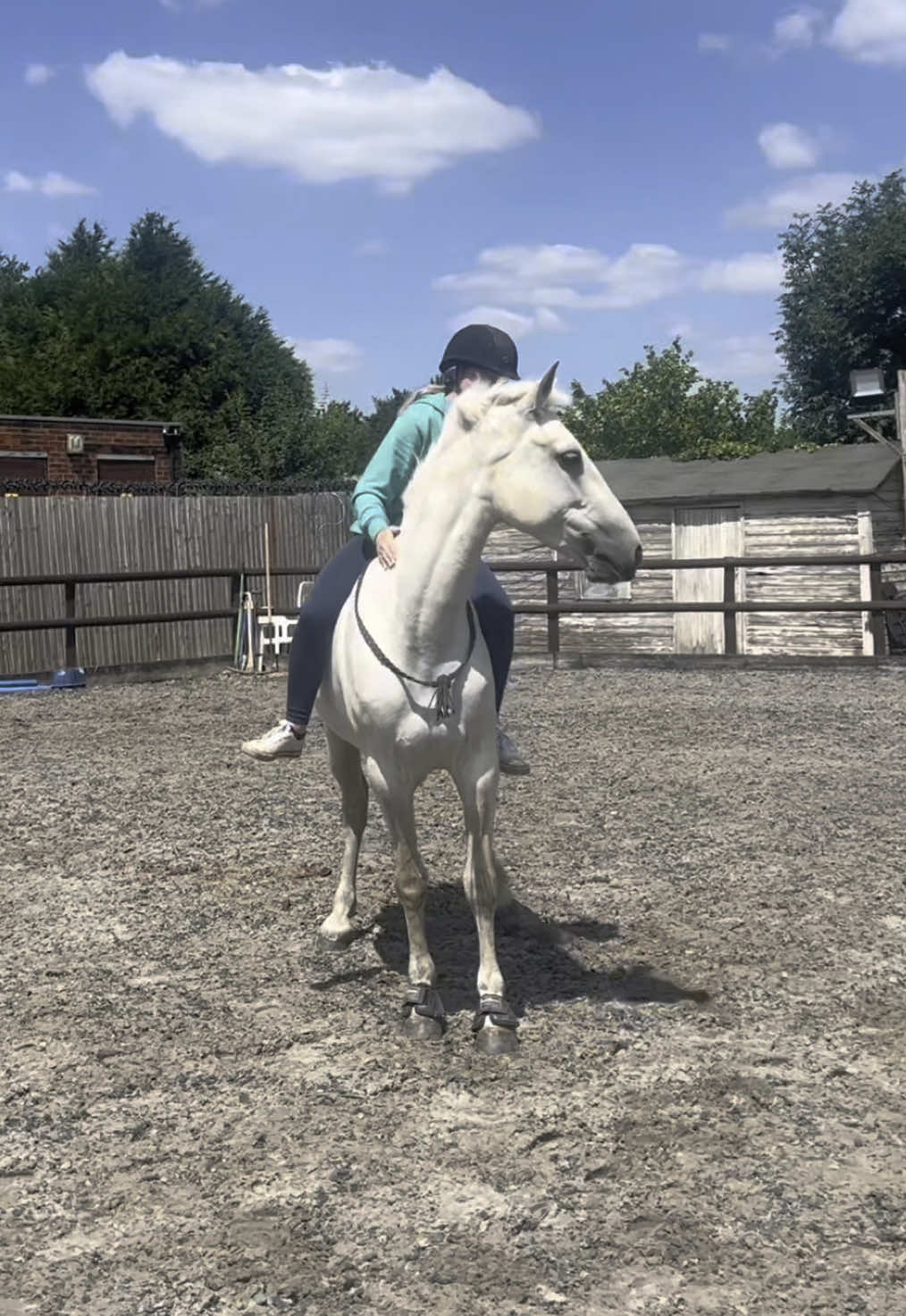 May have to try and jump her bridleless again now that she’s chilled out a bit 🙈 #foryou #promomakanliburan #fyp #foryoupage #equestriantitkok #viralvideos #connemara #abiandlady #rearinghorse #unshadowbanme #unshadowbanned 