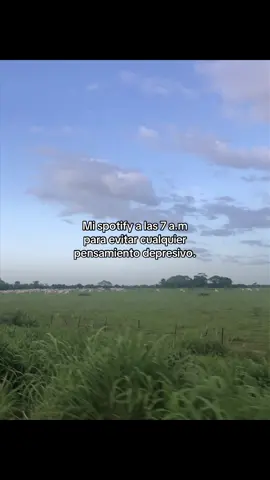 Si #jorgeguerrero #llano 