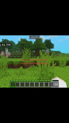 #mimundodeminecraft #Minecraft #fyp #minecraftamigos #bedrock #parati 