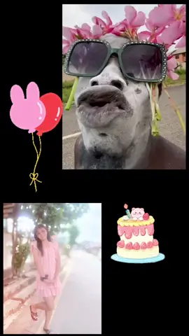 @💫Moon💫 #happybirthdayပါမ🎉🎂🎊💐 #happybirthday #foryou #fyp #2025 #cutie 