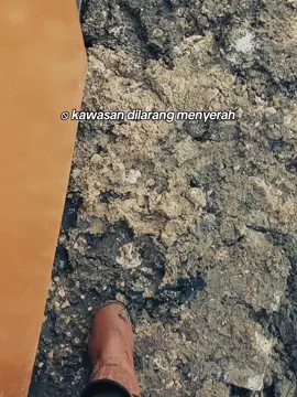 XCMG XGC 55 CRC 29#operatorcrane #komatsu #rotarydrilingrig #borepilepondasi #ptacsetindonusatbk #acsetpondasi #ptacsetindonusa #rotarydrilingrig #memberofastra #kontraktor #kontruksi #borepileconstruction #borepile 