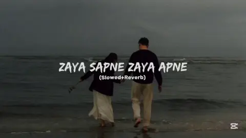 Zaya Sapne Zaya Apne (Slowed+Reverb) #viral #trending #foryou #sidhumoosewala #punjabisong 