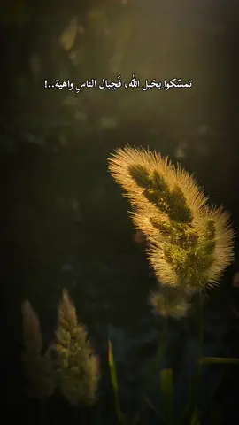 #تصويري📸 #اكسبلورexplore #اكسبلورexplore #لايك__explore___ #عباراتكم_الفخمه📿📌 