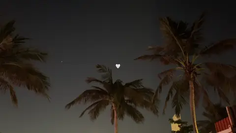 لا إله إلا أنتَ سبحانك إني كُنت من الظالمين ❤️. #قران_كريم 