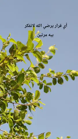 عبارتك  #عبارات #نشر #كتابات #مقولات 