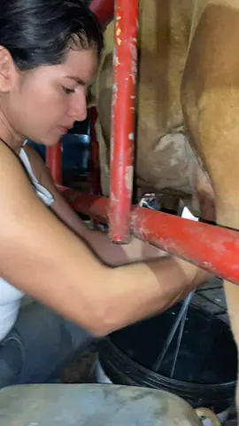 🥰🥰💪🏻🤭💪🏻#paratiiiiiiiiiiiiiiiiiiiiiiiiiiiiiiiiii💖 #viralvideotiktokparati #vidadecampo #vaquerita🤠 #amolporlanaturaleza #amolporlanaturaleza 