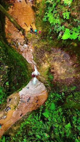 Sendero Las Golondrinas - Valle de Ángeles #valledeangeleshonduras #senderolasgolondrinas #cascada #parati #Honduras #paratiiiiiiiiiiiiiiiiiiiiiiiiiiiiiii #hondurasparaelmundo #paisajes_hermosos #honduras🇭🇳504 #🎥❤️ #Detalles #suspirosdelcorazon❤⭐✨ #caminosdelcorazon🤍❤️ #paz #tranquilidad #aventura 