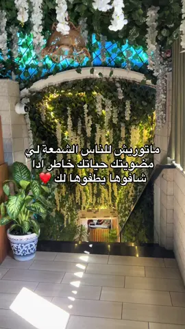 ❤️💯 #algeria #fry #positivevibes #capcutamor #Lifestyle #algerie🇩🇿 ❤️