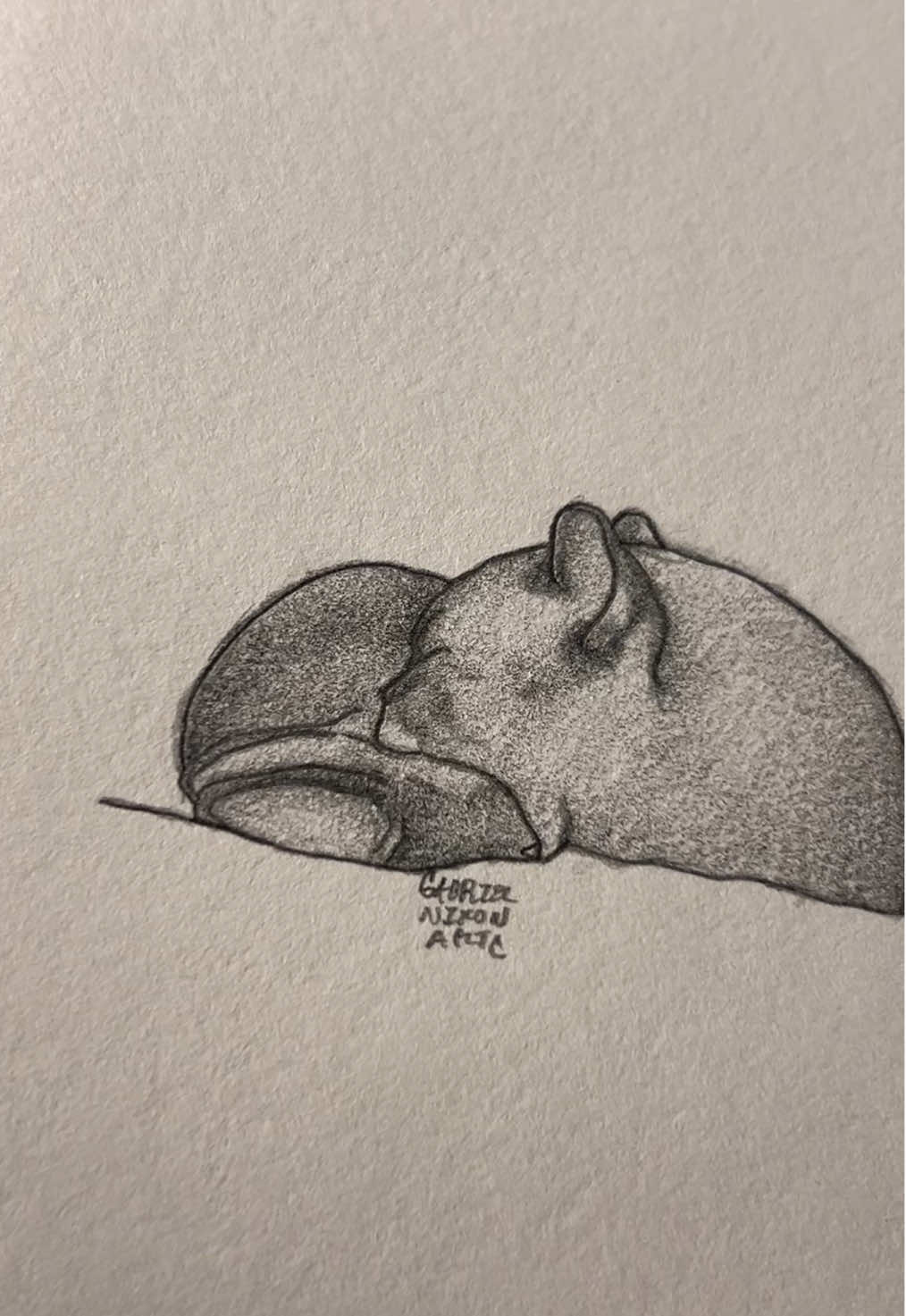Bro got cute aggression😭      Credit- meowersity/IG       #fyp #art #sketch #drawing #cat #bunny #linkinpark #foryouuuuuuuuuuuuu 
