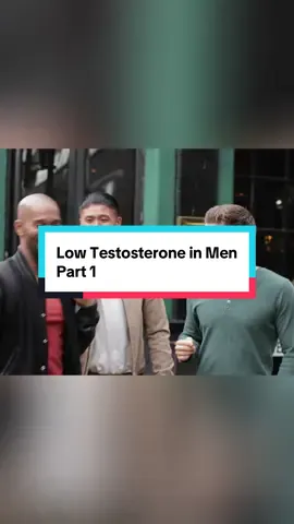 Testosterone Crisis Why Male Testosterone is Lower Than Ever - Part 1 #testosterone #hormones #health