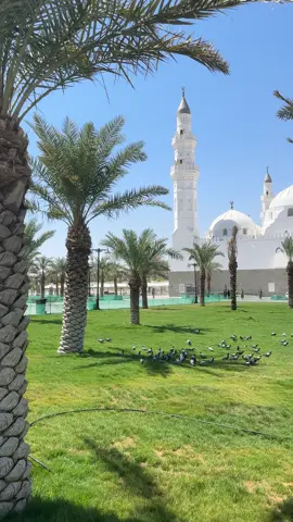 يُعد مسجد قباء بالمدينة المنورة أول مسجد بني في الإسلام، فقد أسسه الرسول - صلى الله عليه وسلم - واختطه بيده عندما وصل إلى المدينة المنورة مُهاجراً إليها من مكة المكرمة، وشارك في وضع أحجاره الأولى ثم أكمله الصحابة - رضوان الله عليهم. وكان الرسول المصطفى - صلى الله عليه وسلم - يقصد مسجد قباء بين الحين والآخر ليُصلي فيه، ويختار أيام السبت غالباً ويحض على زيارته، ووردت في فضل المسجد والصلاة فيه العديد من الأحاديث النبوية الشريفة، ومنها: 