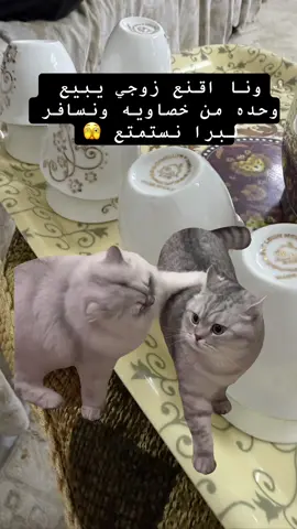 #Meme #MemeCut 