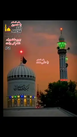 🚩 AAMIR ❤️‍🩹 HUSSAIN 🚩