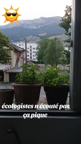 #blague #lol#mdr#ecologie 