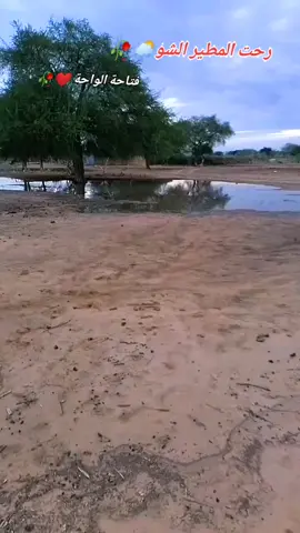 فتاحة الواحة رحت المطير الشو #فتاحة #المطير #سودانيز_تيك_توك_مشاهير_السودان 
