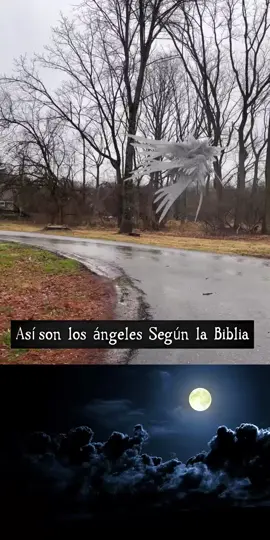 #angels #losangeles #god #things #realangel #fyp #viral 