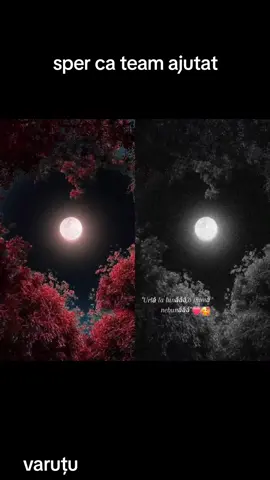 #duet cu @rares.vtm😘 