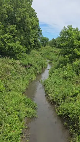 Does heaven have a creek?  #creek  #heaven  #fyp  #fypviral  #fypシ 