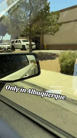 #abq #505 #horses #policeoftiktok #fyp #xyzbca #fypシ 