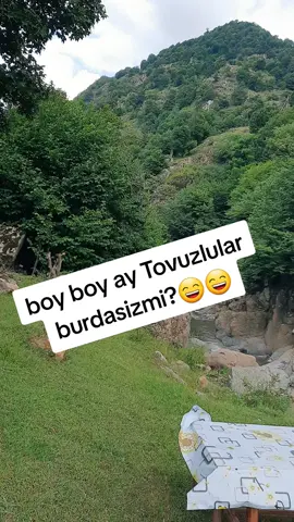 Tovuza gelesen,Qonaxliya gelmiyeseeenn?😍🥰🤗 #kesfet #kesfetteyiz #fyp #fyyyyyyyyyyyyyyyy #viral #trend #tovuzum 